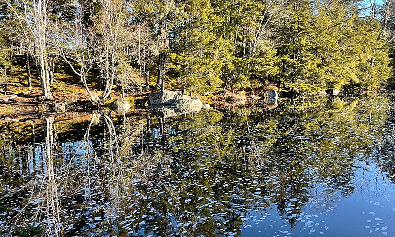 13.95 Acre Riverfron...