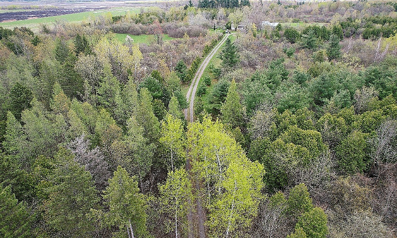 Fermette De  83 Acre...