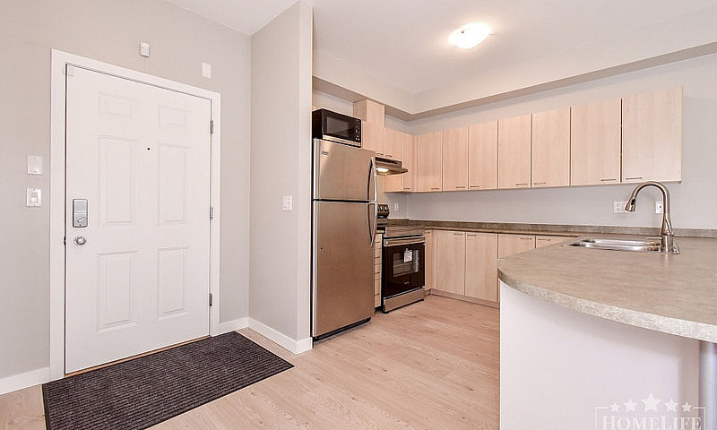 1 - Bed + 1 Bath Con...