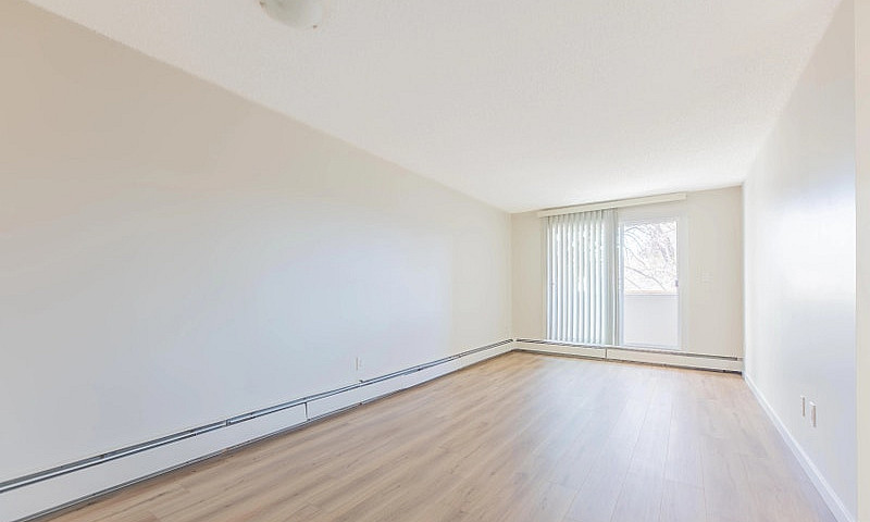 Renovated Apartments...