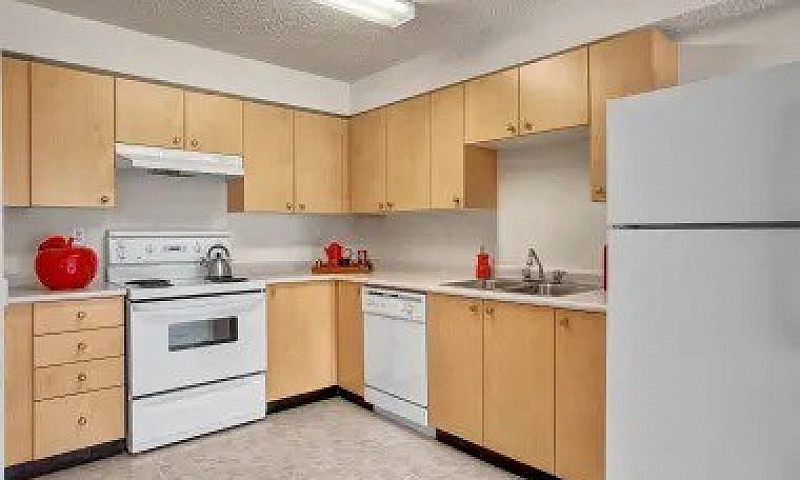 1 Bed X 1 Bath Apart...