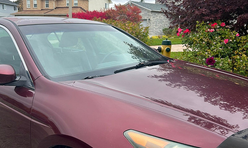 Honda Accord Ex-L Fo...