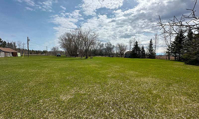 6 Acre Homestead Wit...