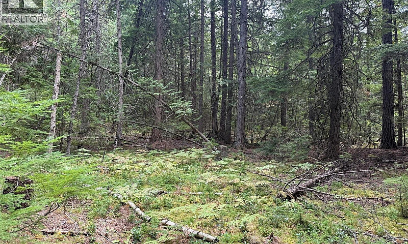 Claybrick Road Lot# ...