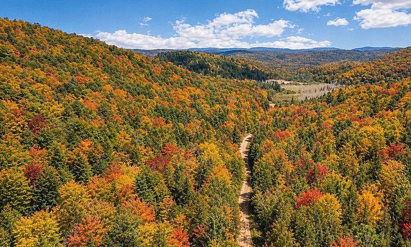 1039 Mtée Beausoleil...