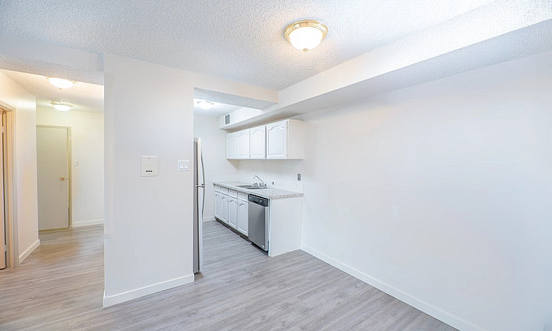 Bachelor, 1 Bedroom ...