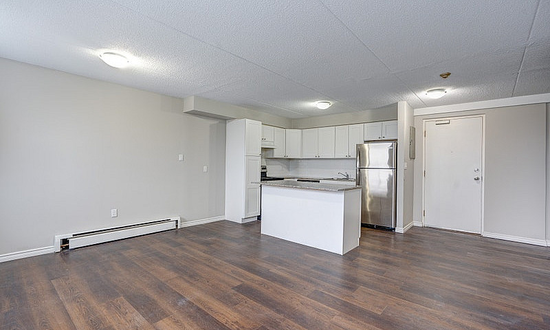 46 Gale Crescent - 1...