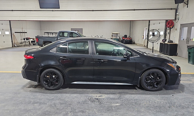 2020 Toyota Corolla...
