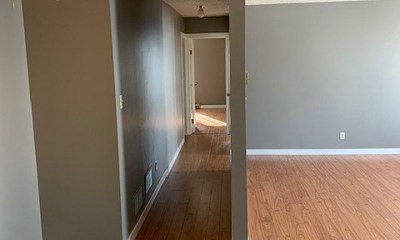 2-Bedroom Unit With ...