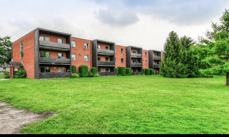 2 Bed 1 Bath - 1495/...