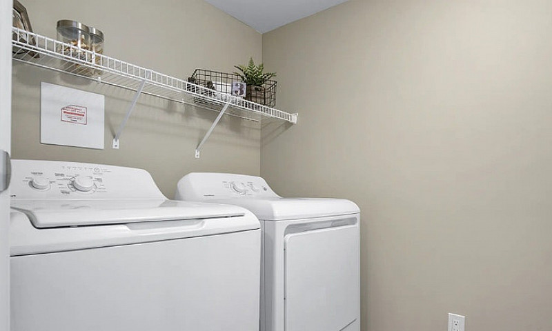 Pet-Friendly Three B...
