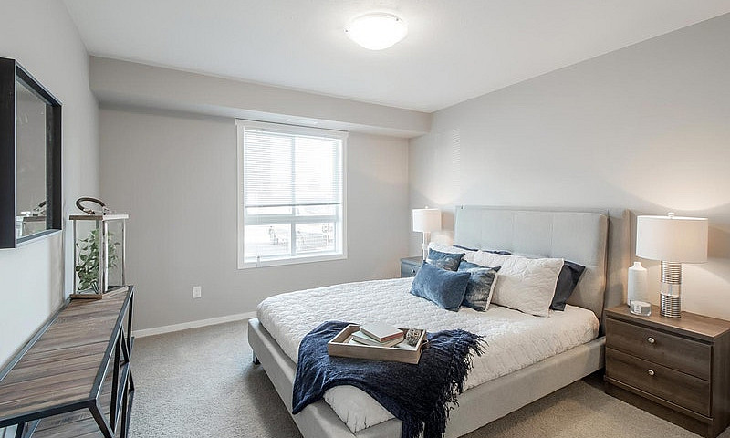Pet-Friendly One Bed...