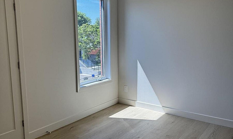 6 - 1301 Dorchester ...
