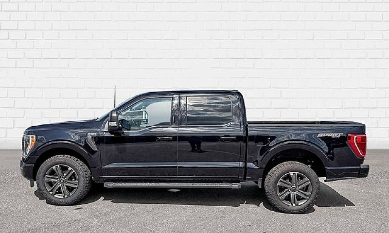 2023 Ford F-150 Xlt ...