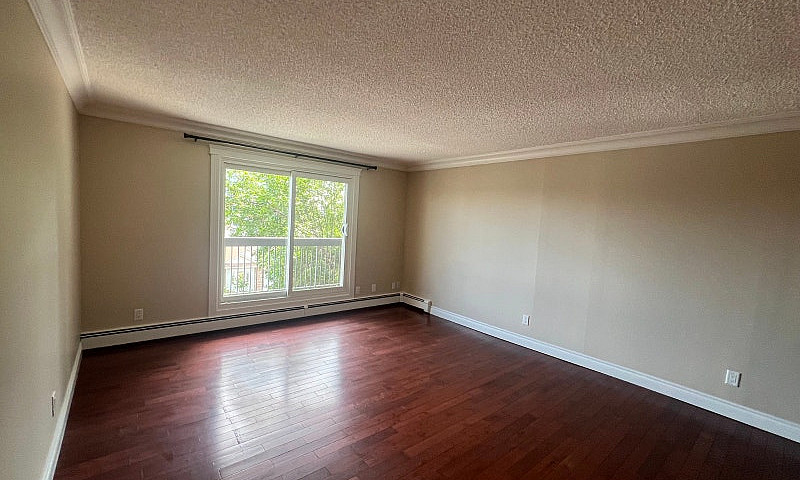 1 Bed 1 Bath Availab...