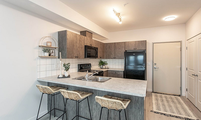 1 Bedroom Apartment ...