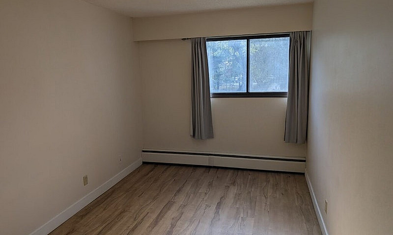 Senior Promo - 2 Bed...
