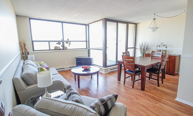 1 Bedroom Apartment ...