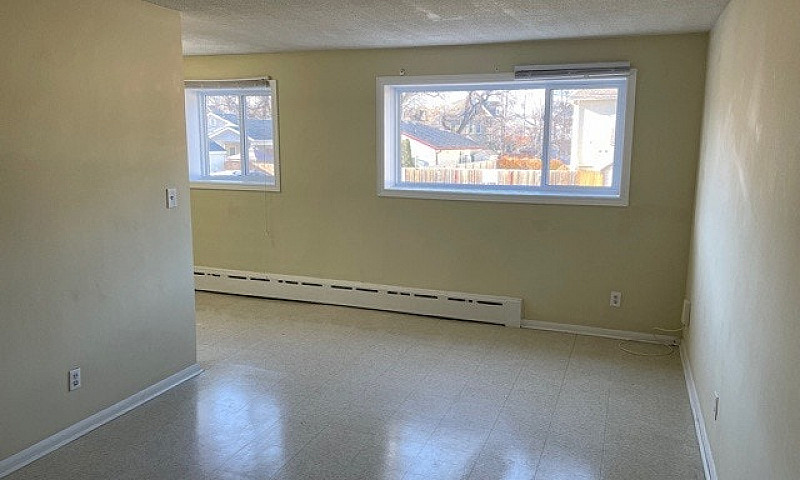 506 Balmoral - 1 Br ...