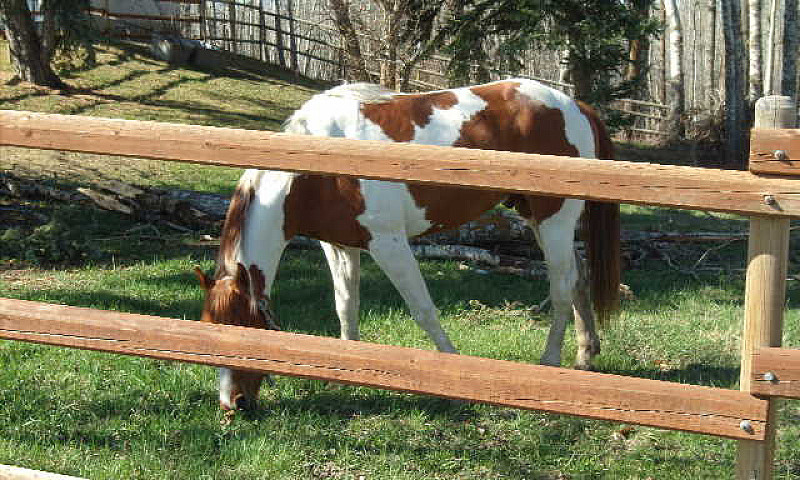 Selling Farm Propert...