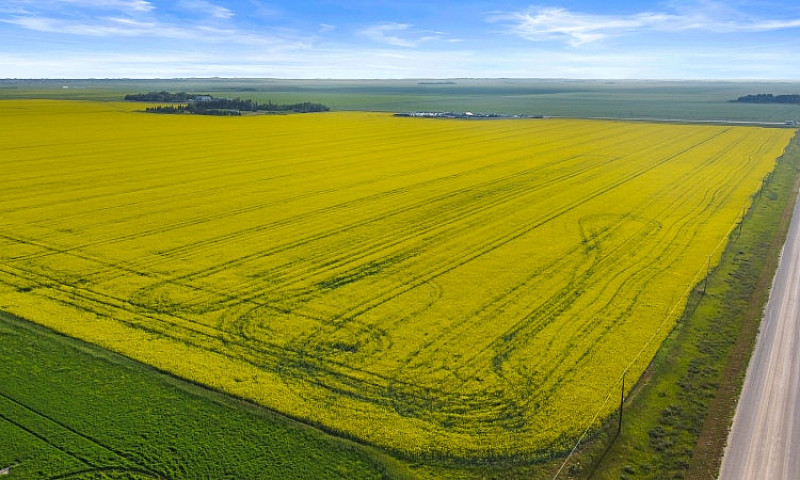 306.39 Acres | Rm Of...
