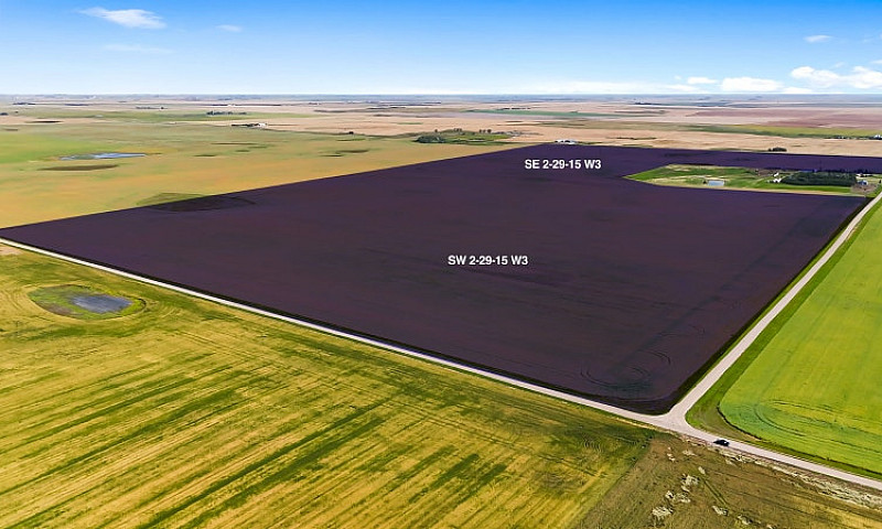 High Quality Farm La...