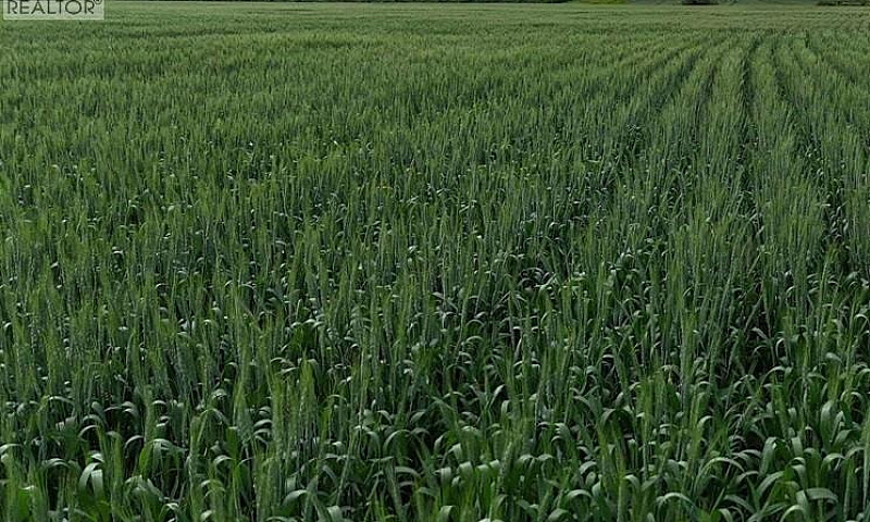 Gauthier Farm Keys R...