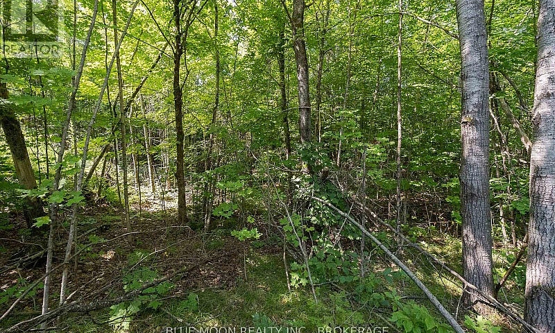 1531 Myers Cave Road...