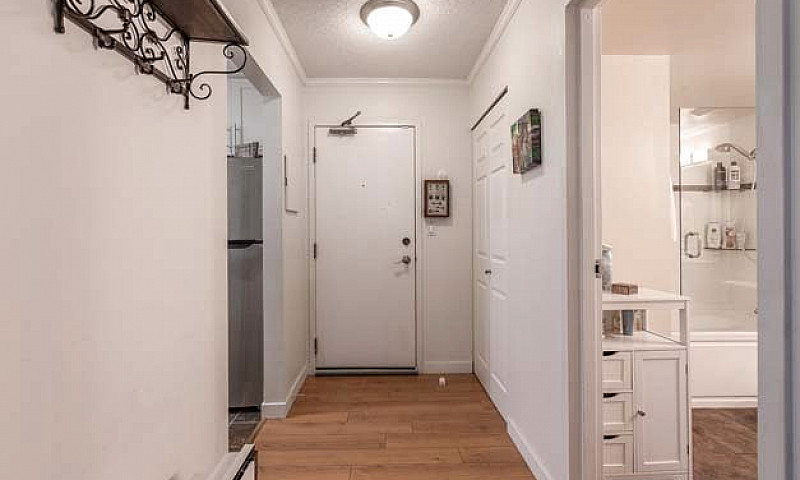 Freshly Renovated & ...