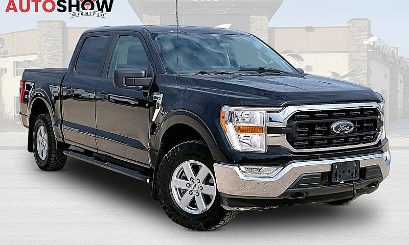 2021 Ford F-150 Xlt ...