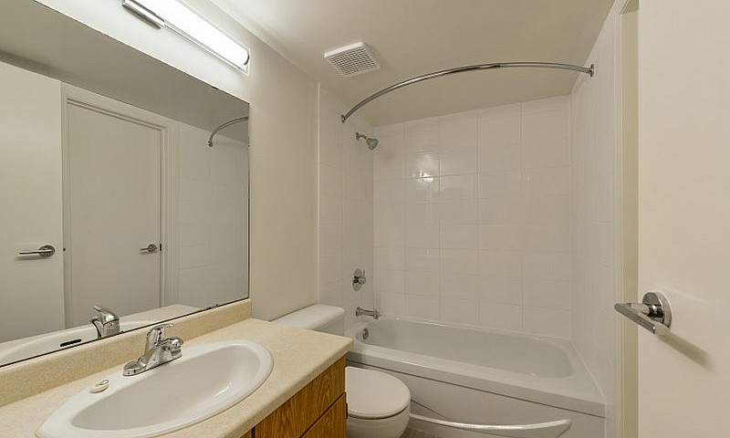 1 Bedroom - 2421 104...