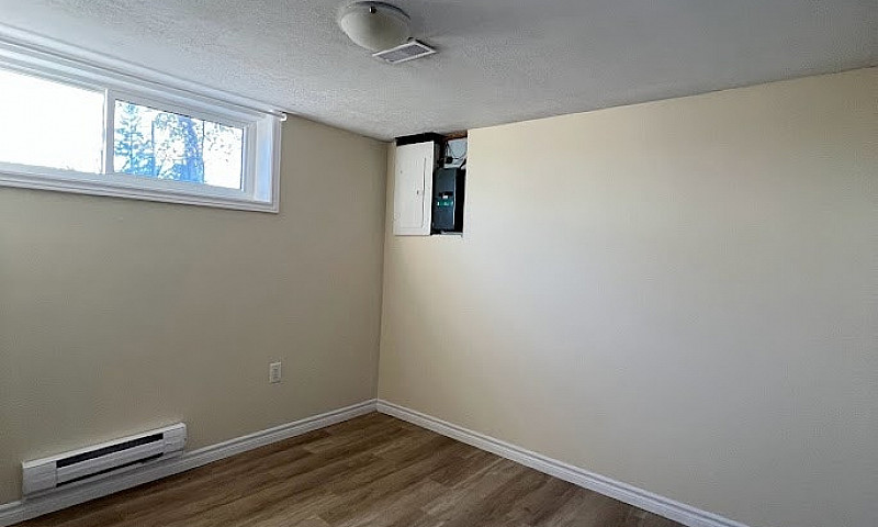 1 Bedroom Walkout Ba...