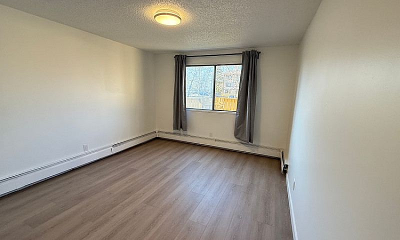 Modern 1 Bed 1 Bath ...