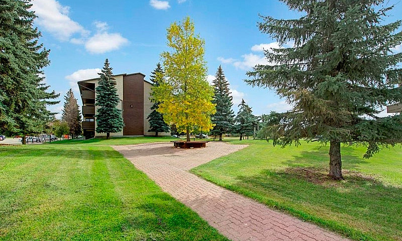 Sizable, Quiet 2 Bed...