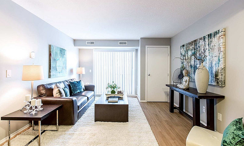 Pet-Friendly One Bed...
