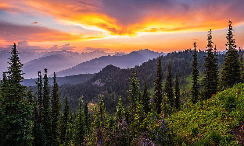 Kootenay Bc  Real Es...