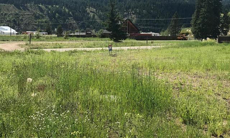 Large Corner Lot In ...