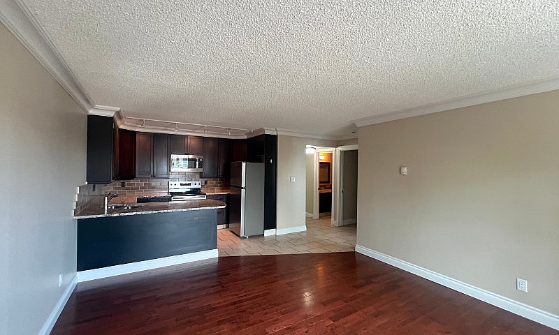 1 Bed 1 Bath Availab...