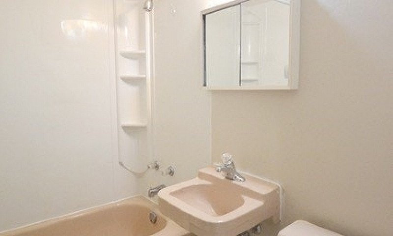 Large 1 Bedroom In T...
