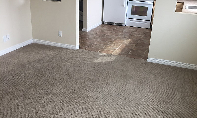 1 Bedroom Suite In W...