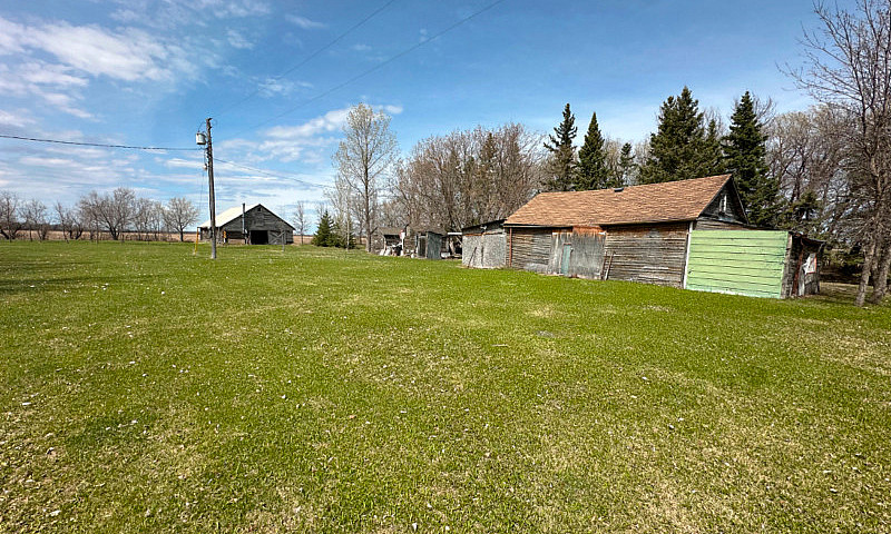 6 Acre Homestead Wit...