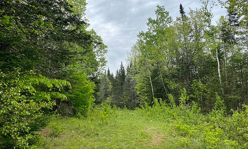 Beautiful 5 Acre Lot...