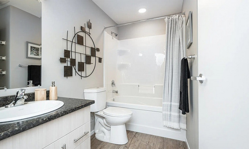 Pet-Friendly One Bed...