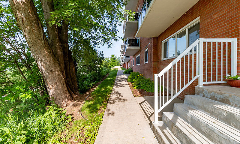 Lewis Court Apts - 1...