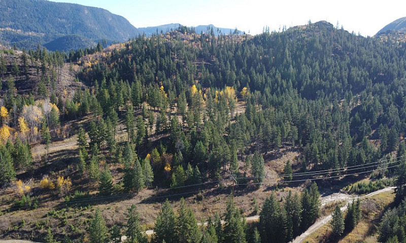Dl 1570 Dixon Creek ...