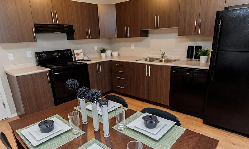 Pet-Friendly One Bed...