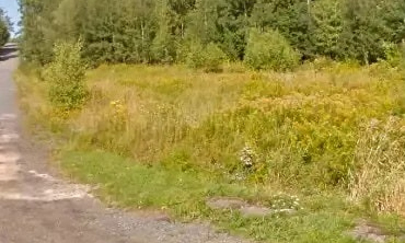 Large Building Lot I...