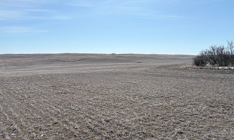 Farm Land For Sale W...