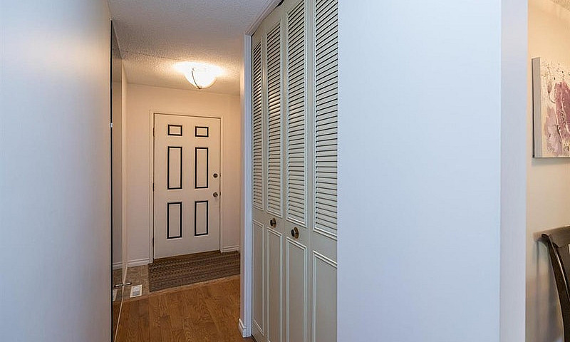15 Shields Street Wi...