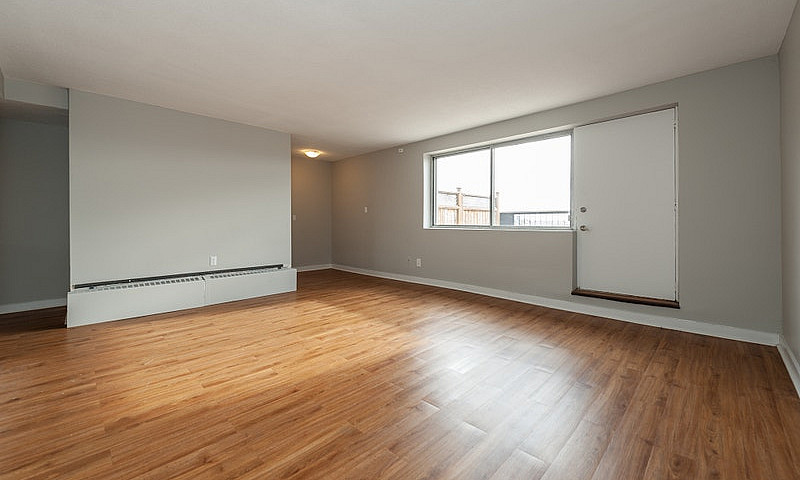 Renovated One Bedroo...